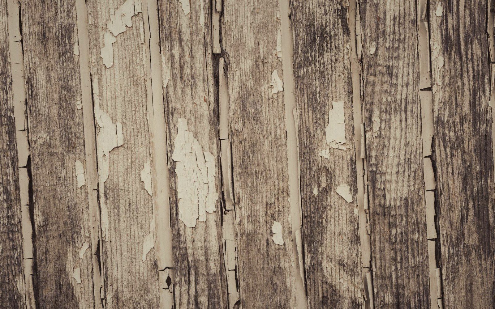Weathered wooden planks with cracked, peeling white paint revealing gray wood grain